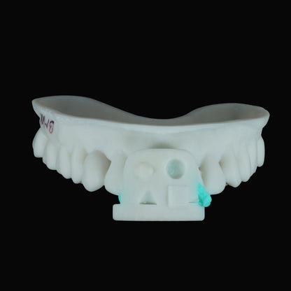 Facial Scan Aligner (Pack of 6)